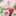 ☆ともよん☆ ☆ともよん☆