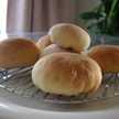 Satorin*