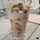 HappyCafe HappyCafe