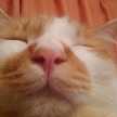 ｃｈｉｒｏ♪