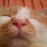 ｃｈｉｒｏ♪