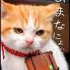 ぴよちやん
