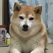 まさmin