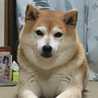 まさmin