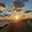 sunny717