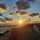 sunny717