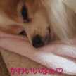 Princessはな