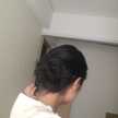 maiko3514