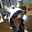 Bintang_wanwan
