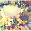 hasemaro