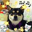 ♪ももハナ♪