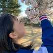 _miichan_