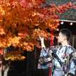 台湾男子の休日
