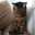 ねこ◎