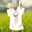 およしSUN