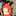 Msカクテル Msカクテル