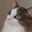 minaty_K