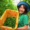 遠野パドロン生産法人