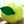 monchi0602