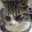 あずさ猫