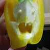wato