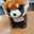 toshi0228