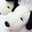 snoopy89