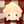 恋々renren