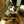 cattail_9