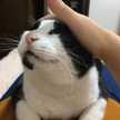 いおりん＊まいにち。