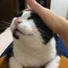 いおりん＊まいにち。