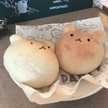 肥後たぬき