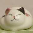 大吉ねこ