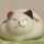 大吉ねこ 大吉ねこ