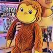 ジョージのごはん