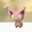 猫野しっぽ