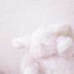 ammimo_♡