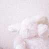 ammimo_♡