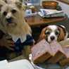 tridogﾏﾏ