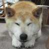 ラッチーU^ｪ^U