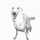 Rover dog
