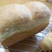 ｺｯﾄﾝﾏﾔﾊﾟﾝ