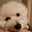 marbley
