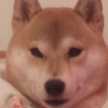 まーたんご飯