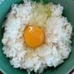 TKG_cook