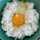 TKG_cook TKG_cook