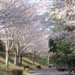 nyajirou