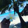 Alohana♡