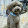 もち143