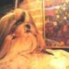 mammaのYOU